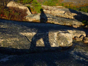 Acadia National Park