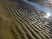 Cape Cod National Seashore