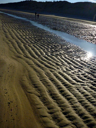 Cape Cod National Seashore