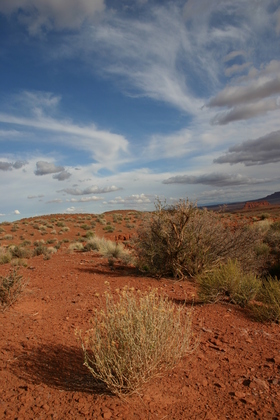 Arches National Park