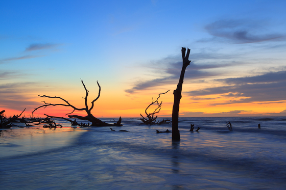 Cape Romain NWR
