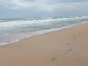 Canaveral National Seashore