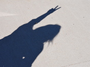 Great Smoky Mountains National Park - Clingman's Dome