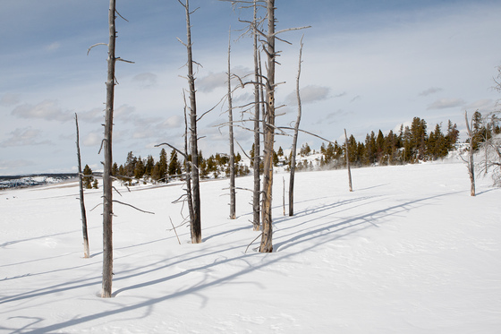 Yellowstone National Park