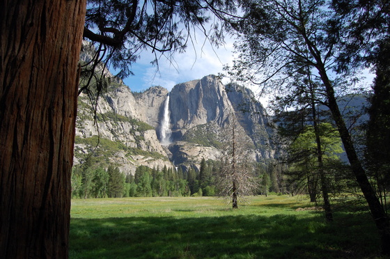 Yosemite National Park