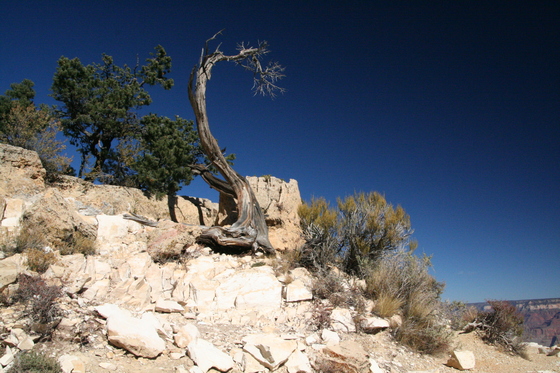 Grand Canyon