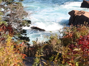 Acadia National Park - Thunder Hole