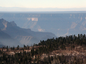 Grand Canyon/Kaibob Forest
