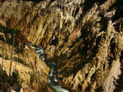 yellowstone national park