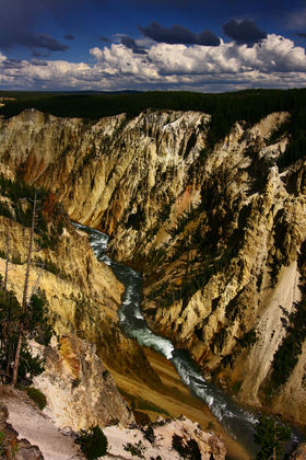 yellowstone national park