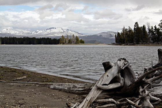 Yellowstone National Park