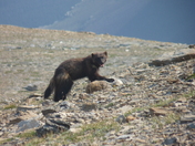 Glacier National Park