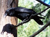 Yosemite National Park