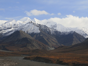 Denali National Park