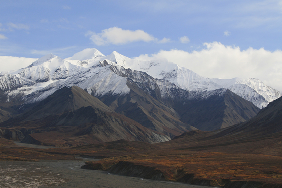 Denali National Park