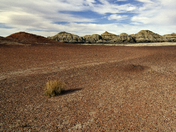 Bisti Wilderness Area 