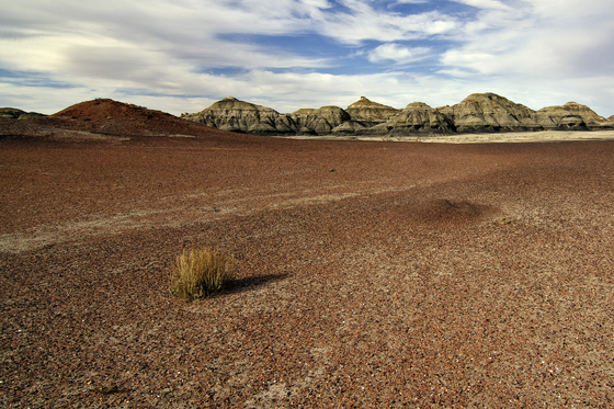 Bisti Wilderness Area 