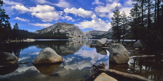 Yosemite National Park
