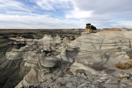 Bisti Wilderness Area 