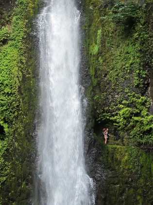 Eagle Creek -Tunnel Falls Oregon