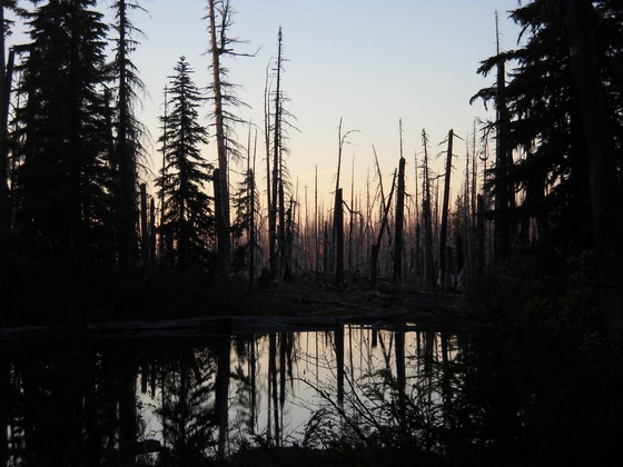 Waldo Lake Oregon