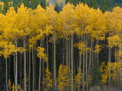 Rocky Mountain National Park, Colorado