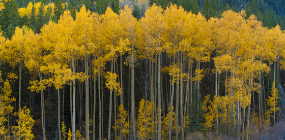 Rocky Mountain National Park, Colorado