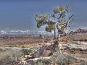 Arches National Park