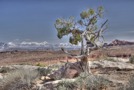 Arches National Park