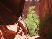Grand Staricase Escalante National Monument