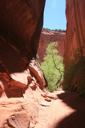 Grand Staricase Escalante National Monument