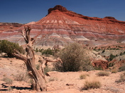 Grand Staricase Escalante National Monument