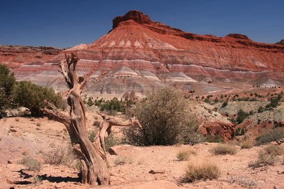 Grand Staricase Escalante National Monument
