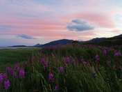 Katmai National Park