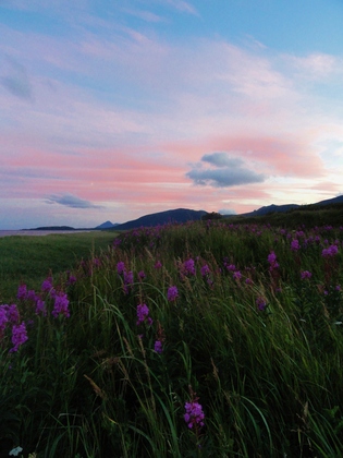 Katmai National Park