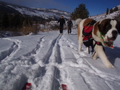 White River National Forest