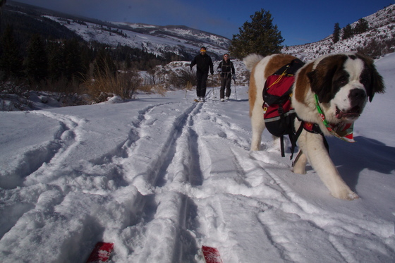 White River National Forest