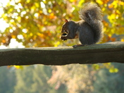 George Washington Birthpace National Monument