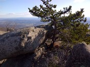 Old Rag Mountain, Shenandoah National Park