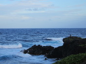 Haleakala National Park