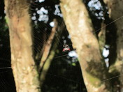 Haleakala National Park