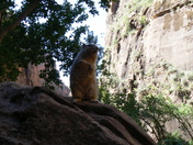 Zion National Park