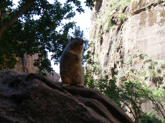 Zion National Park