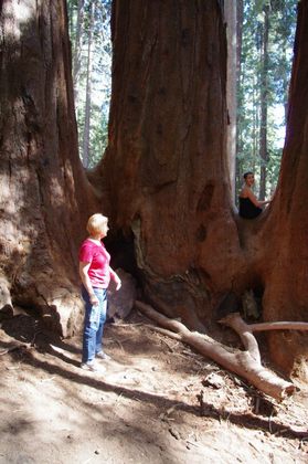 Sequoia National Forest