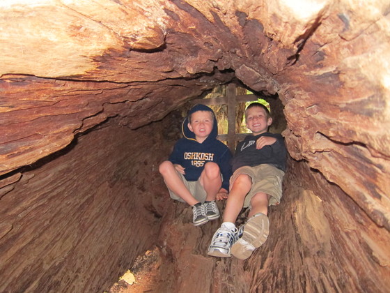 Muir Woods