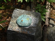 Acadia National Park