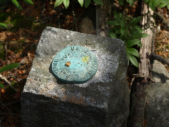 Acadia National Park