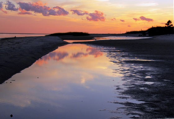 Monomoy National Wildlife Refuge