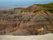 Badlands National Park
