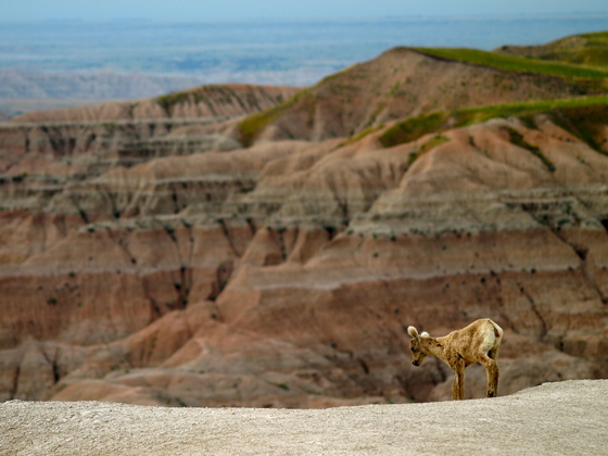 Badlands National Park